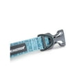 thumbnail image 4 of Winchester Pet Signature Ombre Dog Collar, Aqua Haze, M, 4 of 6