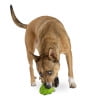 thumbnail image 5 of Planet Dog Orbee-Tuff Artichoke Treat-Dispensing Dog Chew Toy, Green, One-Size, 5 of 5
