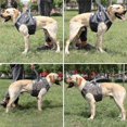 thumbnail image 4 of POINTERTECK No Pull Dog Pet Harness Strong Adjustable Reflective Padded Safety Puppy Vest, 4 of 5