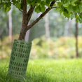 thumbnail image 2 of GreenPaquete de 10 protectores de troncos de plantas para proteger la corteza verde, malla ajustable para plántulas, plantas jóvenes marrón Rojo Verde Cocina, Decoración y Otros, 2 of 5