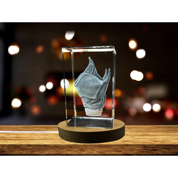 Larynx Art |3D Engraved Crystal Keepsake | Gift/Decor| Collectible | Clear | AB Crystal Collection