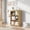 Wood, variant on PLAMLE 31.5”3-Tier Bookcase Wooden Freestanding Display Bookshelf for Home Office Living Room Storage Shelving Unit for Bedroom