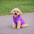 thumbnail image 3 of Chaleco polar Jacko & Co para perros de tamaño mediano, color morado, 3 of 8
