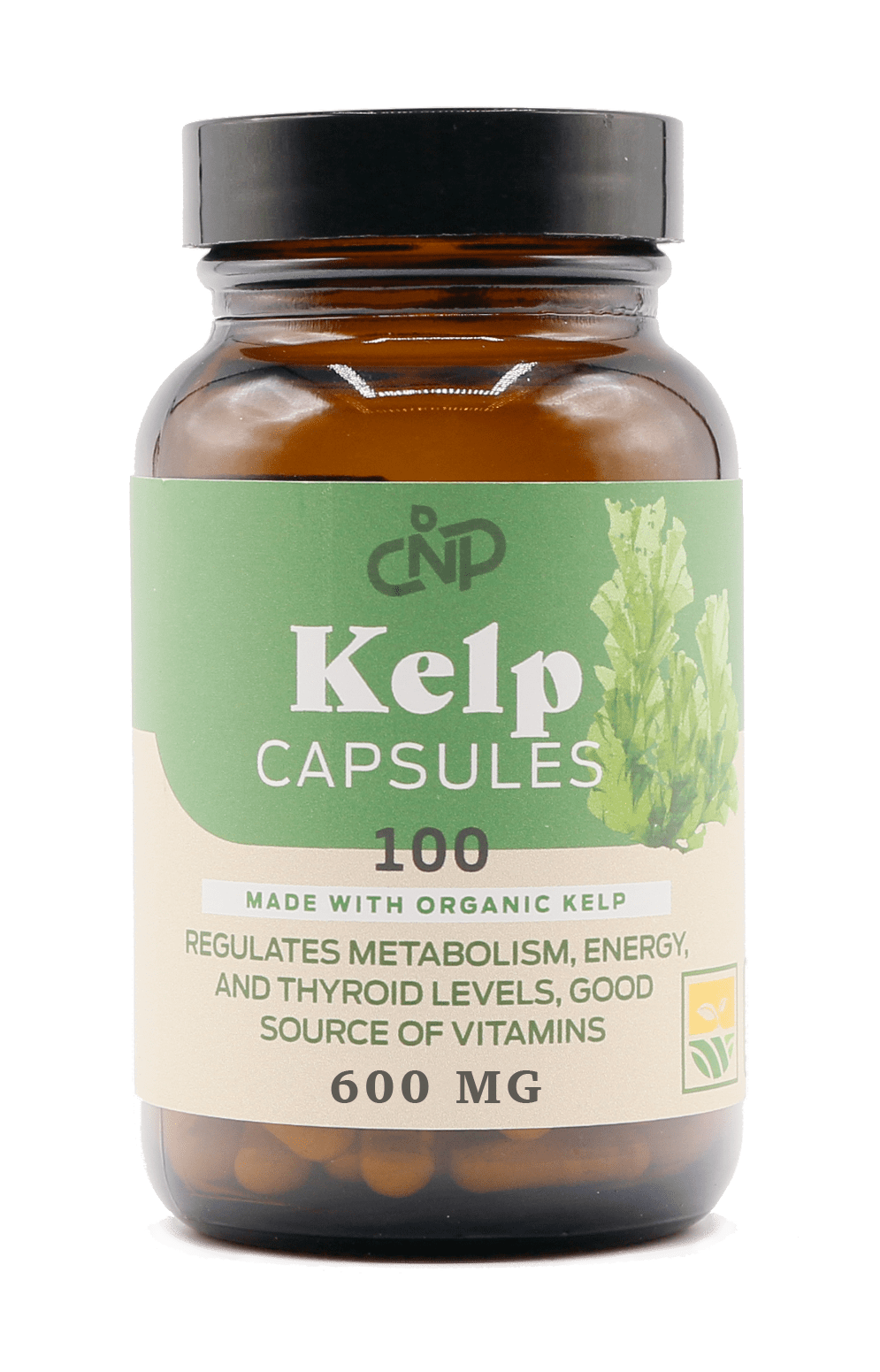 Organic Kelp Capsules 600mg Capsules 100 Pills Powdered Raw Sea & Seaweed & Thyroid Support