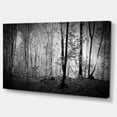 thumbnail image 3 of Designart Beautiful Forest Morning Panorama Canvas Wall Art, 3 of 4