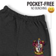 thumbnail image 3 of Harry Potter Gryffindor Collegiate Unisex Jogger Sweatpants for Men and Women, 3 of 5