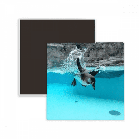 

Ocean Antarctic Penguin Science Nature Picture Square Ceracs Fridge Magnet Keepsake Memento