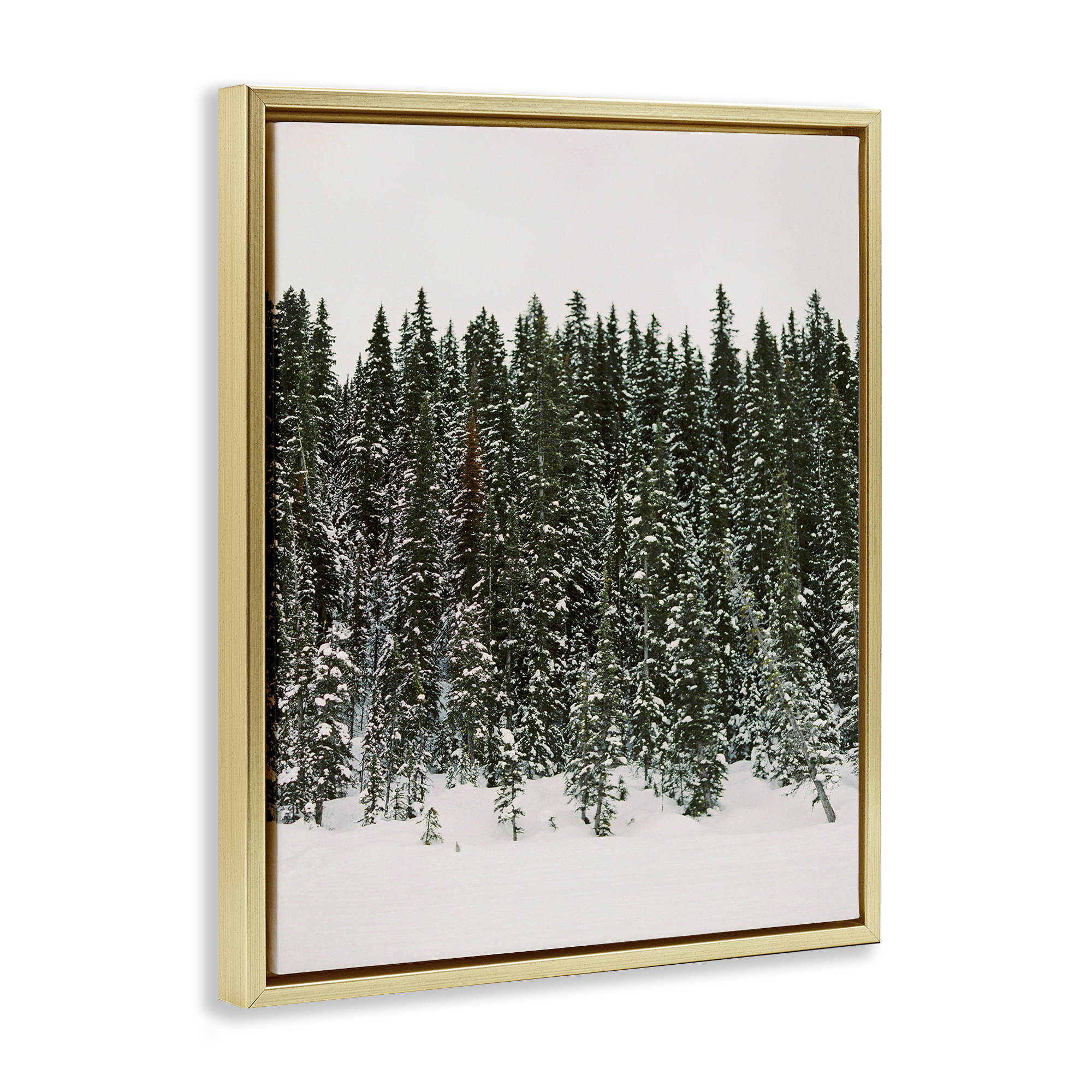 Stupell Industries Winter Forest Grove Landscape Photography Gold Floater Framed Art Print Wall Art, 17 x 21