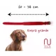 thumbnail image 5 of Collar Premium Para Perros 100% Piel Varios Colores, 5 of 8