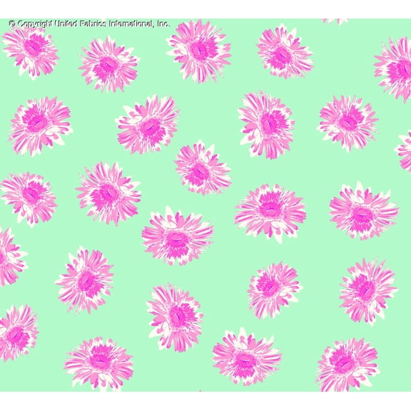 Chiffon Printed Nima Fabric by the Yard Floral Print Sheer Daisy Dress Fabric (MINT/HOTPINK/CREAM, HalfaYard)