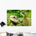 thumbnail image 1 of Lizard Wall Mural Decal Sticker, Wallmonkeys Peel & Stick Vinyl Graphic (36 in W x 24 in H), 1 of 4
