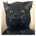 thumbnail image 1 of Funix Realistic Long Black Creepy Cover - Funny Black Cute Halloween Prop, 1 of 4