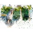 thumbnail image 2 of Young, Chamira 32x25 Black Ornate Wood Framed with Double Matting Museum Art Print Titled - Heron, 2 of 4