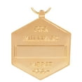 thumbnail image 3 of Army Commendation (ARCOM) Medal Anodized full size, 3 of 3