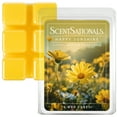 thumbnail image 2 of (2 pack) Happy Sunshine Scented Wax Melts, ScentSationals, 2.5 oz, 2 of 6