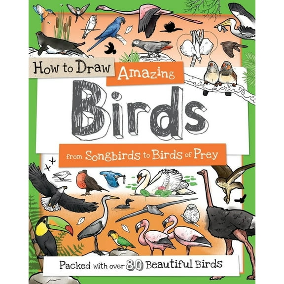 How to Draw How to Draw Amazing Birds: From Songbirds to Birds of Prey, (Paperback)