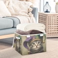 thumbnail image 5 of Foldable Fabric Storage Bin With Handle Collapsible Basket Box Storage With Lid Organizer Cat Wearing A Jester Hat, 5 of 7