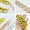 Bronze, variant on GASTROPOD Dog Chain Collars,Vivid Multicolor Options Dog Choker Collar,Enhanced Night Visibility No Pull Dog Collar,Dustproof Waterproof Construction Pet Punk Choke Collar,