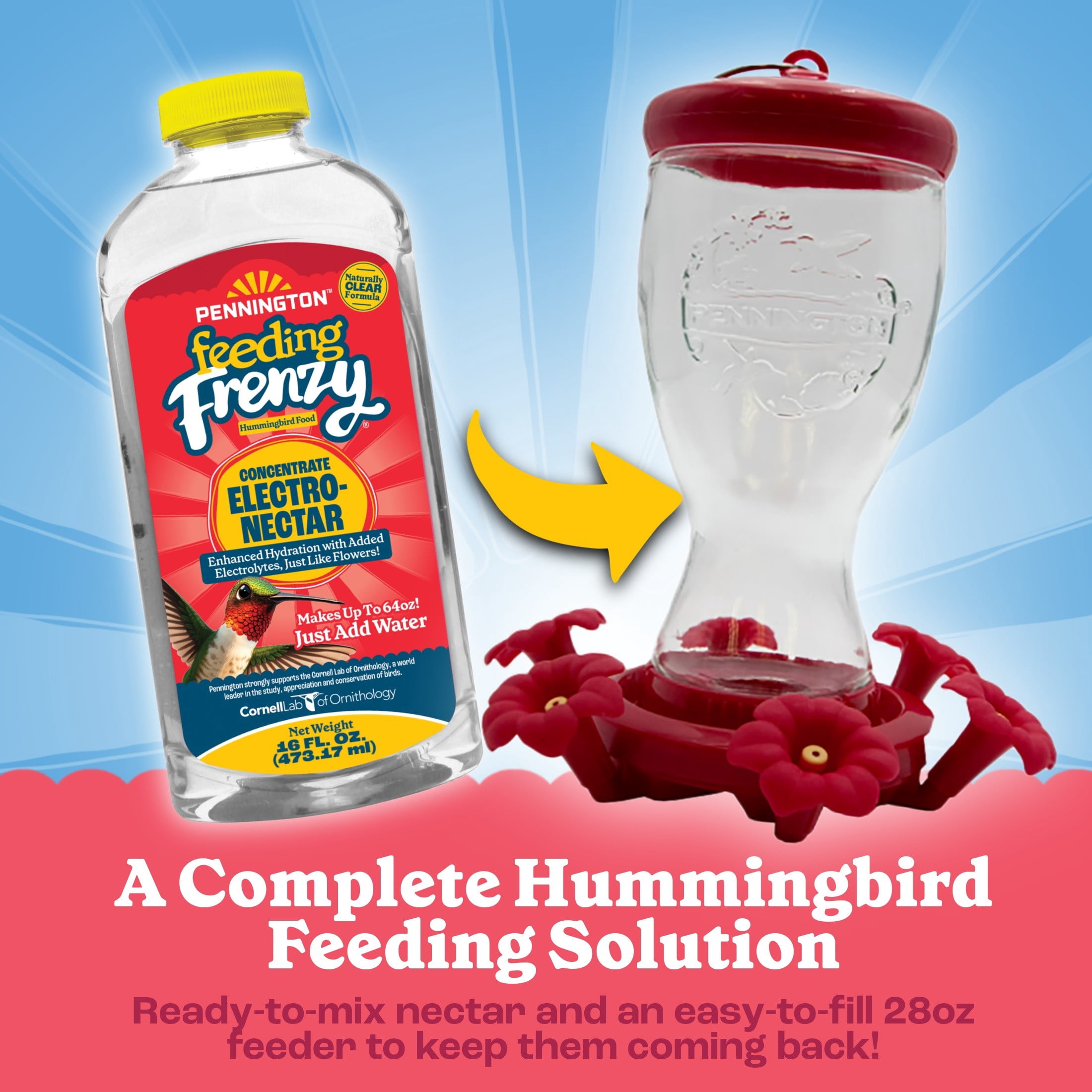 Pennington Hummingbird Feeder Starter Kit