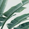 thumbnail image 6 of WYYP Botanical Tropical Leaves Decor Plant Leaf Round Table Cloth White, 6 of 8