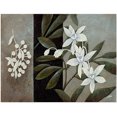 thumbnail image 1 of Trademark Fine Art "White Fresh" Canvas Wall Art by Rio, 1 of 1