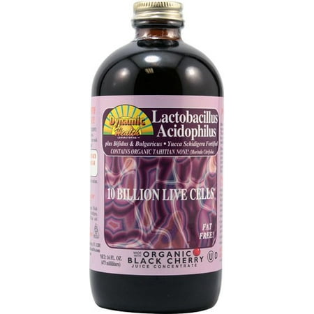 Dynamic Health Probiotics Lactobacillus Acidophilus Black Cherry 10 billion cells - 16 fl (Best Lactobacillus Acidophilus Supplements)