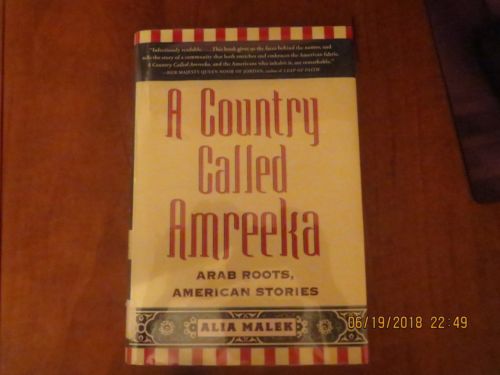 A Country Called Amreeka Arab Roots American Stories