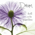 thumbnail image 2 of Koetsier, Albert 20x20 White Modern Wood Framed Museum Art Print Titled - Purple Chrysanthemum Dream, 2 of 4