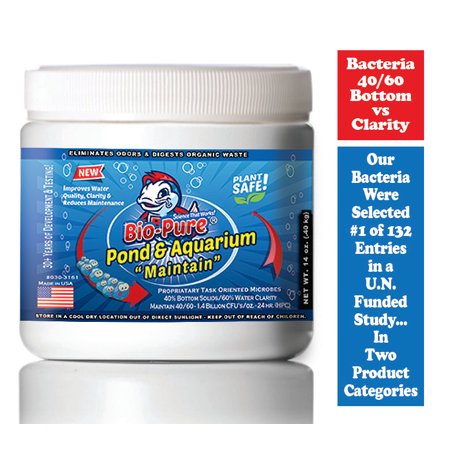Bio Pure Pond & Aquarium MAINTAIN treats up to 55 000. gal. Our Microbes Digest Organic Waste Improve Fish Plant Health. Better Water Clarity Quality Reduced Water Changes Extends Water Pump Life