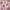 Pink Gingerbread Houses, variant on FORMRS 1-Subject Spiral Notebook 8" x 5" College Ruled 60 Refillable Sheet, 2 Pack, Pink Candy House