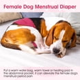 thumbnail image 5 of Kuoser Reusable Dog Diaper, Soft Belly Band with Abdominal Pocket for Male and Female Dogs, Washable Period Diaper for dog, 1 Pack, Rose-red, M, 5 of 8