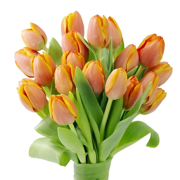 KaBloom : 20 Orange Tulips, Next-Day Delivery, Gift for Every Occasion