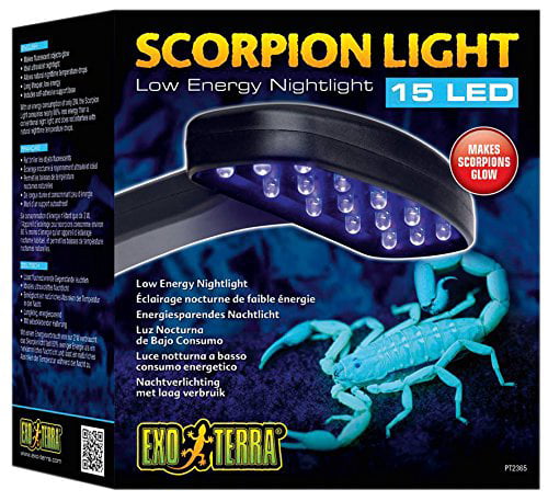 uv light to find scorpions