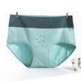 thumbnail image 4 of Women's Cotton Underpants 5Pcs High Waist Elastic Underwear Comfortable Breathable For Daily Use Size XL, 4 of 4