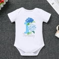 thumbnail image 5 of IBTOM CASTLE Baby Girl First Birthday Outfit Floral Lace Party Cake Smash Romper + Tutu Skirt for Photo Shoot 1 Year Blue-Flower, 5 of 8