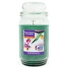 Better Homes & Gardens Jar Candle, All About Spring, 18 oz