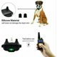 thumbnail image 3 of Collar de entrenamiento para perros Aleko de 300 metros con niveles de vibración y golpes 100% impermeables ACTIVE Biensenido a ACTIVE, 3 of 5