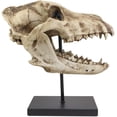 thumbnail image 5 of Ebros Direwolf Fossil Skull Statue On Pole Mount and Brass Name Plate 12.5" Long, 5 of 6