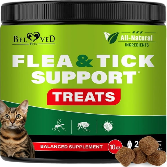 Beloved Pets Salmon Flavored Soft Chew Skin & Coat Supplement for Cats, 10-oz Jar