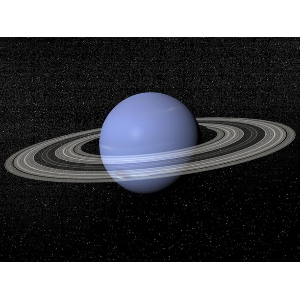 My Image 65