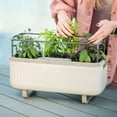 thumbnail image 5 of Vego garden Herb Planter Box with Trellis Self-Watering Rolling Raised Garden Bed for Climbing Vegetables Plants Cage - Cream White, 5 of 9