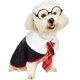 thumbnail image 1 of Impoosy Pet Halloween perro sudaderas divertido gato mago disfraz lindo ropa suave camisas ropa con gafas (cuello grande: 18.0 in), 1 of 1