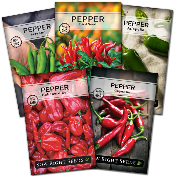 Hot Pepper Seed Collection - Non GMO Varieties - 5 Count