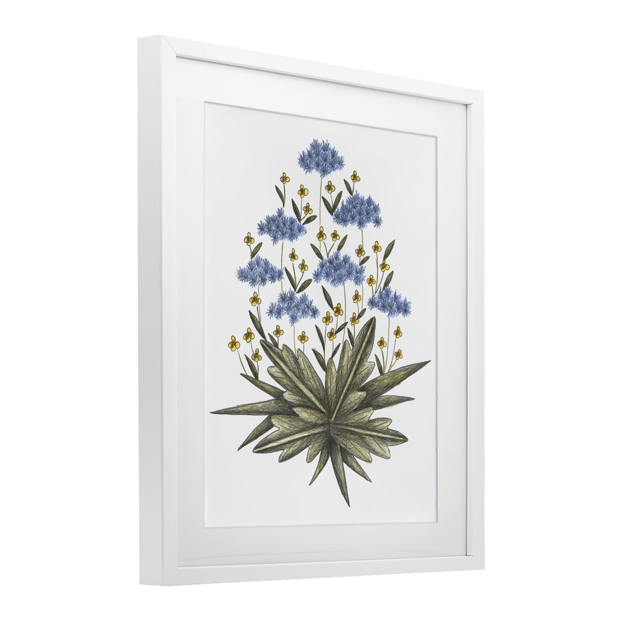 Where Wild Flowers Bloom White Framed Print Under Glass, design by Cecilia Battaini