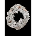 thumbnail image 2 of 22" Ashland Flocked Pine Holiday Wreath, 2 of 2