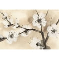thumbnail image 3 of Paschke, Chris 14x11 Black Modern Framed Museum Art Print Titled - Spring Blossoms I Crop, 3 of 5