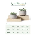 thumbnail image 6 of BEMAY 2-Pack Ceramic Succulent Pots with Drainage Holes, 6.3 in and 7.8 in Star White Indoor Planters with Mesh Pads and Silicone Plugs, Plant Pots for Cactus, Herbs and Houseplants, 6 of 6