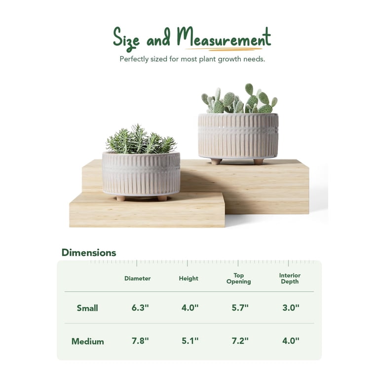 BEMAY Ceramic Succulent Pots, 6.3" and 7.8" White photo 6