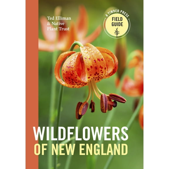 Wildflowers of New England - Paperback