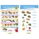 thumbnail image 3 of Juego de gráficos de tablón de anuncios Sportime MyPlate, grados 1 a 4, 8 piezas, 3 of 5